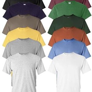 GILDAN 12 PACK MEN ASSORTED COLOR T SHIRTS